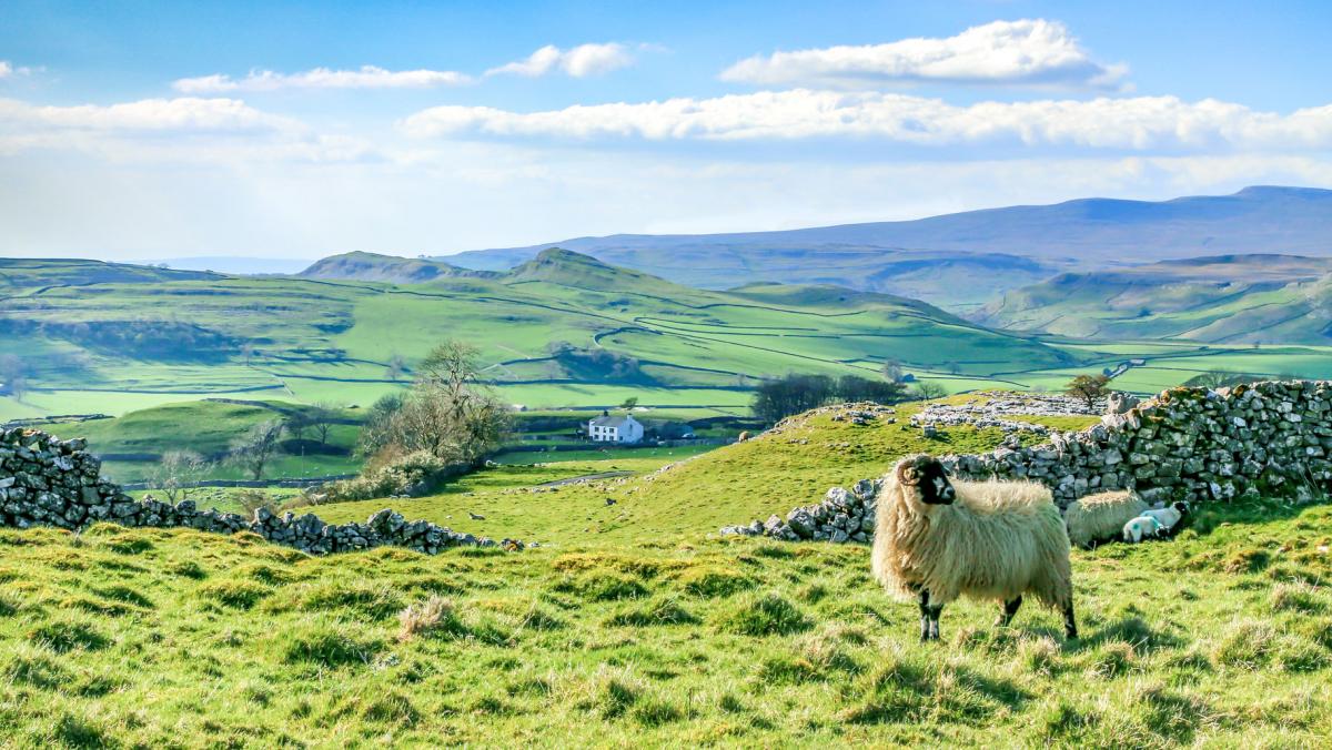 Polythene and Plastic products made in Yorkshire